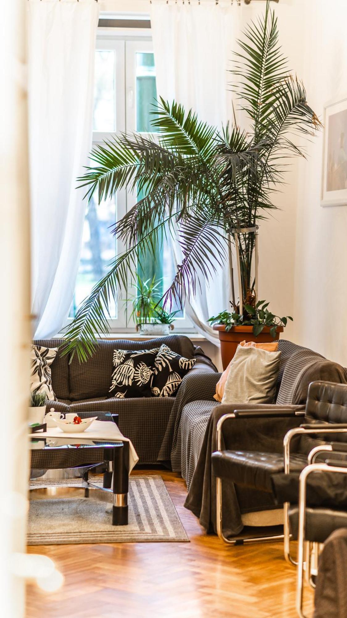 Fogra Travel Apartment Kraków Exteriör bild